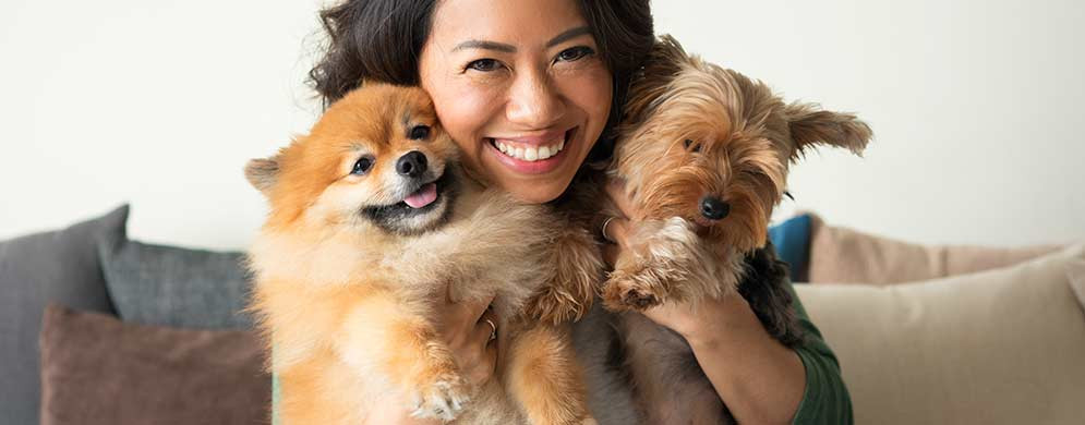 Conheça as 4 melhores raças de cães para apartamento
