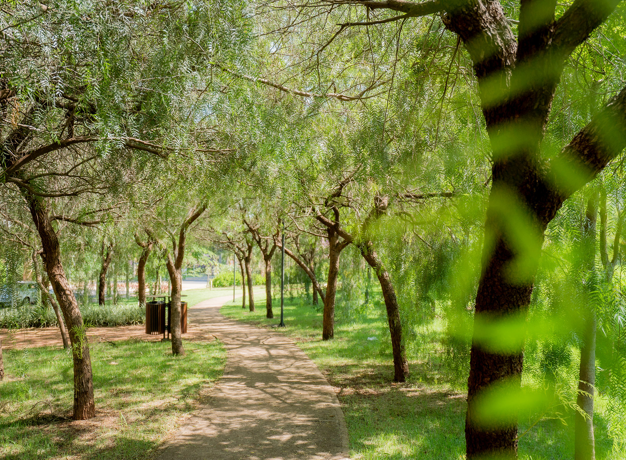 Dicas de parques para você aproveitar a natureza em Ribeirão Preto ...