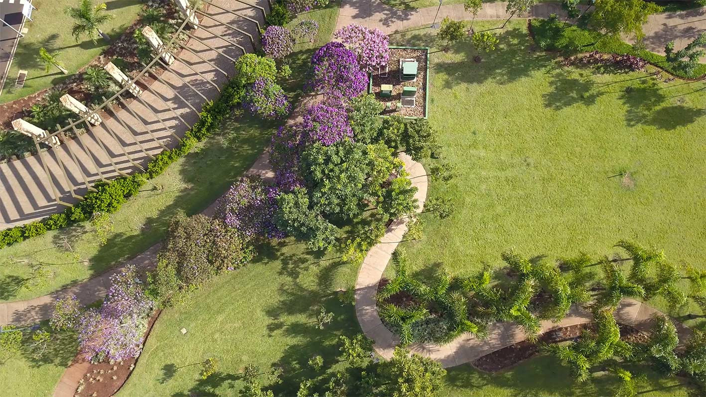 Vista aérea de jardim com caminhos curvos, pergolado, gramado, palmeiras e árvores floridas.