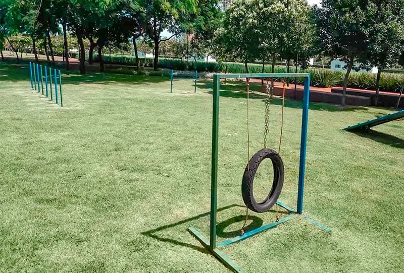 Área gramada para cães com obstáculos de agility, incluindo pneu suspenso, barras e rampa, cercada por árvores.